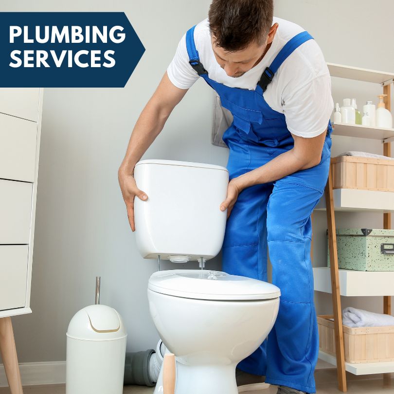 Plumbing Company in New Memphis, IL